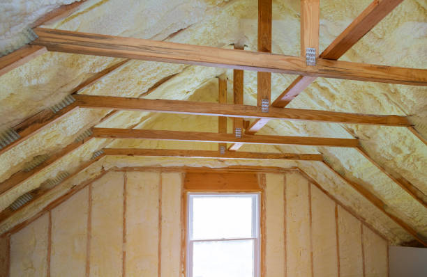 Best Best Insulation Companies  in La Puebla, NM