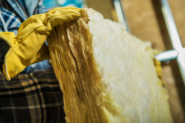Best Insulation Replacement Services  in La Puebla, NM
