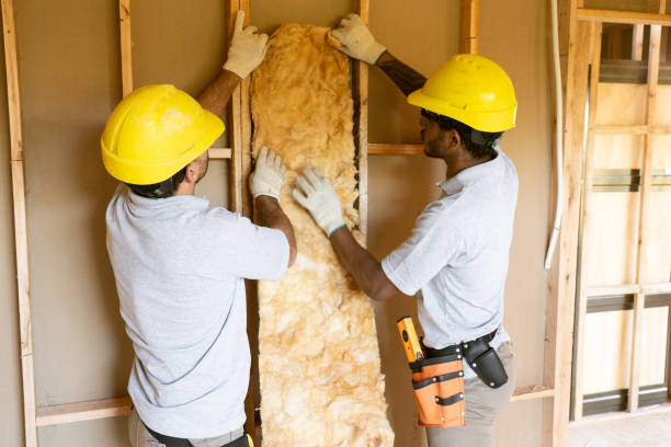 Best Insulation Contractors for Homes  in La Puebla, NM