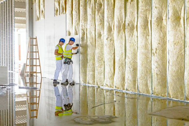 Insulation for Commercial Buildings in La Puebla, NM